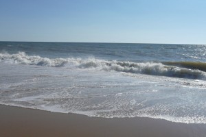 JUILLET 2007 (113)